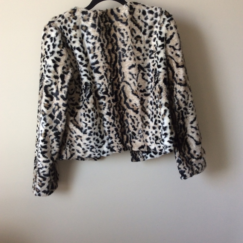 Jacket - Picture 2 of 3